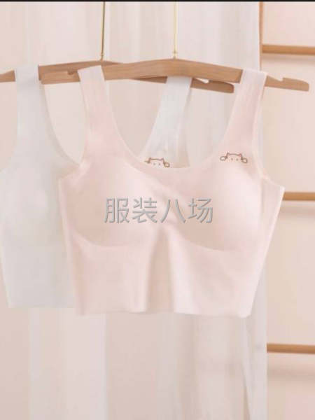 批發文胸100件-第4張圖片