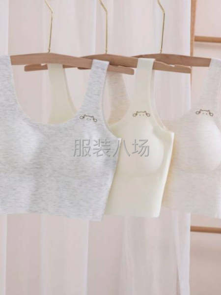 批發文胸100件-第5張圖片