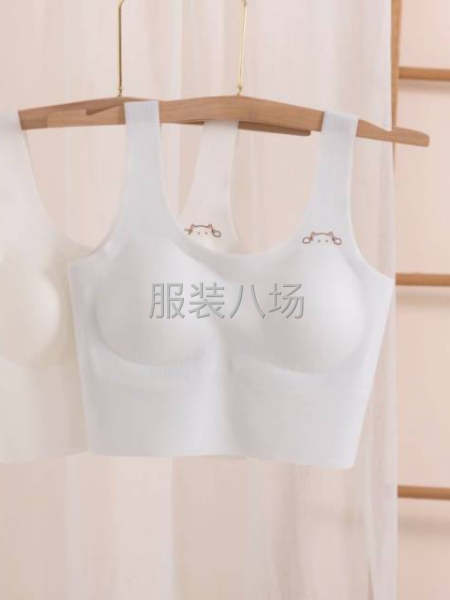批發文胸100件-第6張圖片