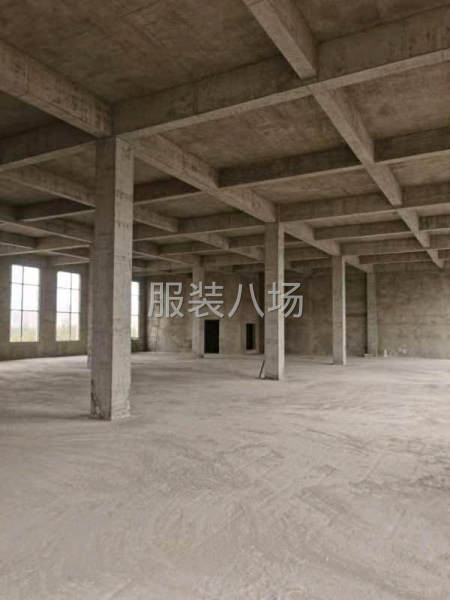 金山工业园区厂房出售-第2张图片