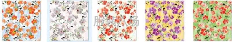时尚印花 印象深刻0019-第3张图片