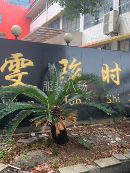 本公司是一家专业生产新街女装服装厂，自产自销模式，生意好特好-第1张图片