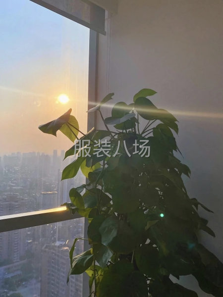 服装设计公司-第1张图片