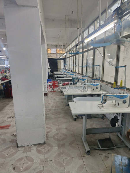 劲泓服装有限公司石牌厂-第4张图片