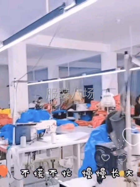 本厂40人，针织为主，寻求长期合作-第1张图片