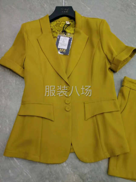 100件女裝/西服西褲外發(fā)-第1張圖片