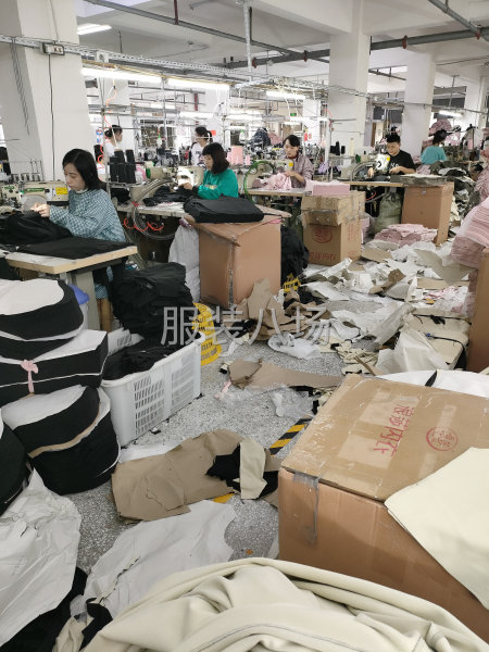 本廠專做，保暖套裝，內(nèi)褲，短袖，t血針織面料等-第1張圖片