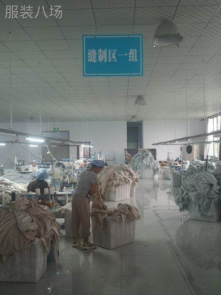 山东滨州惠民承接各类服装家纺，工厂占地2000米-第3张图片