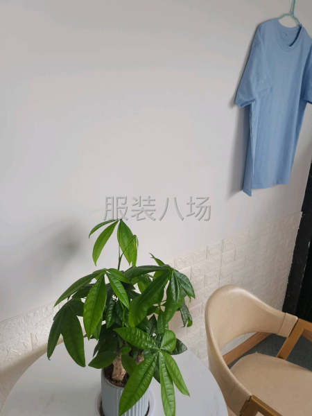招收熟練縫紉工數名（流水，成全整件）-第1張圖片