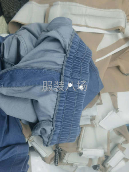 本厂常年生产女裤，年产值30万件，有实力的厂家联系-第2张图片
