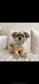 undefined - 寻长期合作可做宠物衣服的加工厂 - 图3