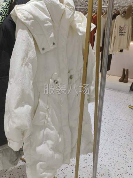 起批3万件，需要羽绒服，鹅绒服加V-第4张图片