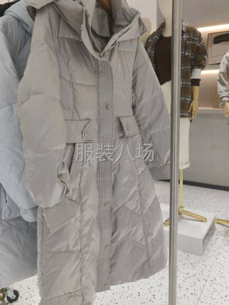 起批3万件，需要羽绒服，鹅绒服加V-第1张图片