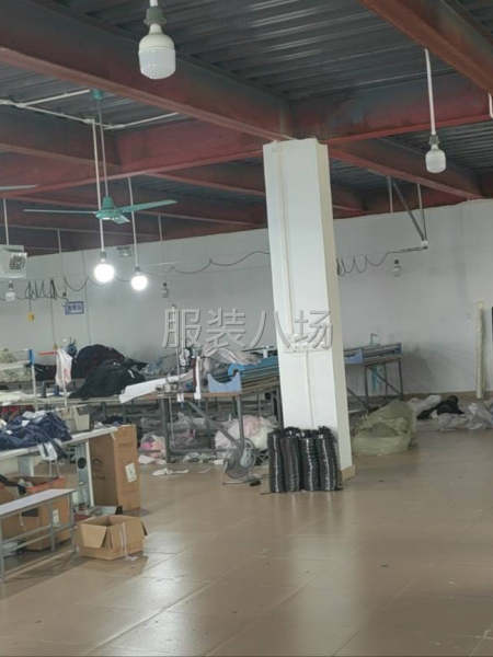 承接十三行，抖音，天猫，亚马逊等中高端订单-第3张图片