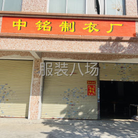 undefined - 专业针织，T恤，卫衣，外套高工序都可以做，质量保证，出货快 - 图1