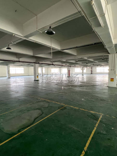 番禺大石工业园区管理，标准厂房方正高实用率三台5吨货梯大路边-第2张图片