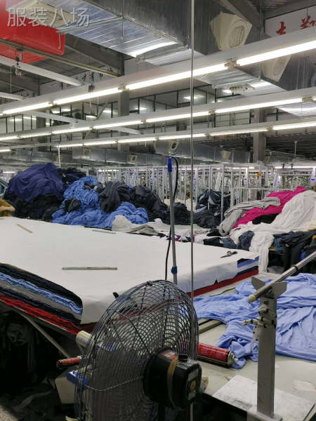 针梭织外贸服装工厂-第1张图片