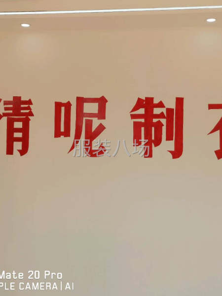 承接各种服装订单，主做棉服，羽绒服，工装-第1张图片