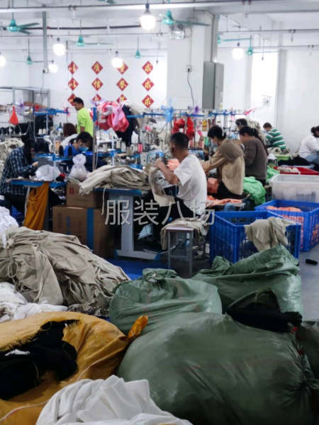 诚信经营 保质保量-第1张图片