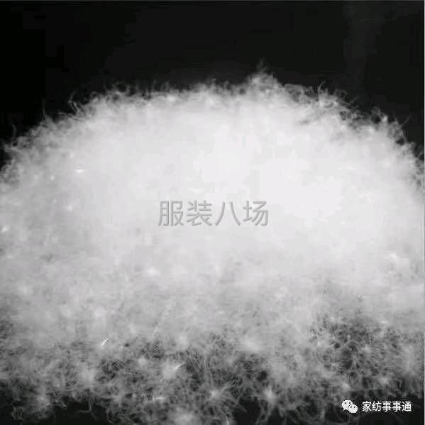 承接羽绒服加工，充绒行线-第6张图片