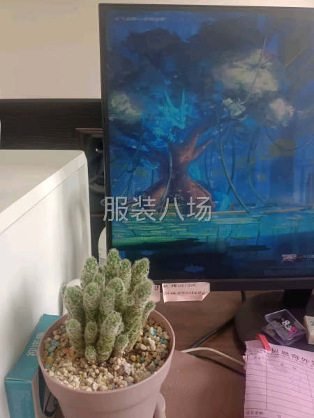 一人能成全一件样品  针织 梭织都可以做-第1张图片