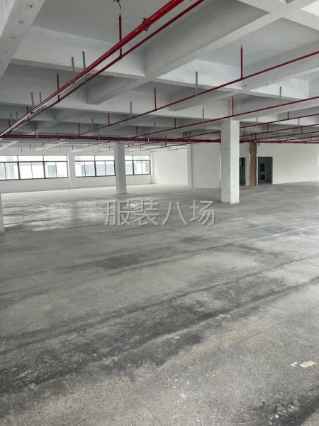 出租莫城標準廠房800平-第1張圖片