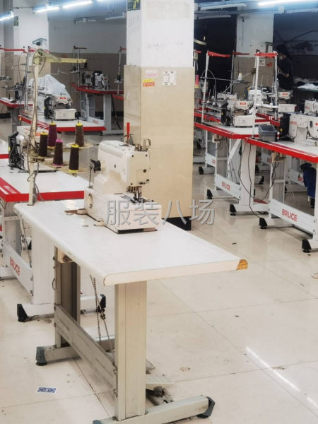 专业女裤工厂-第1张图片