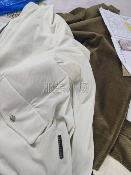 招整件车多名-第5张图片