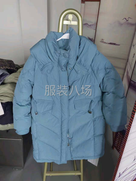 3500件女裝/男裝/羽絨服外發-第2張圖片