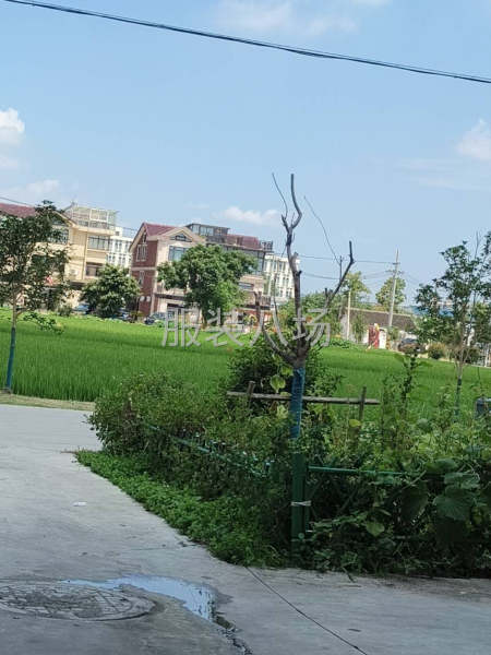 求租自建房，一层，或者有三间房的-第1张图片