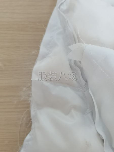 招聘專業(yè)充棉工兩名-第1張圖片