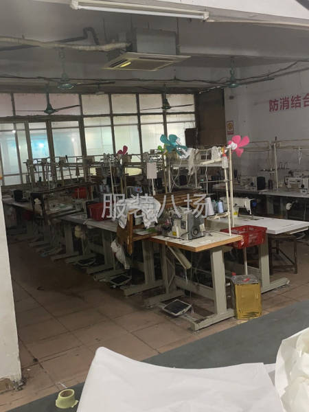 承寻棉衣皮毛主力客户本厂300方-第2张图片