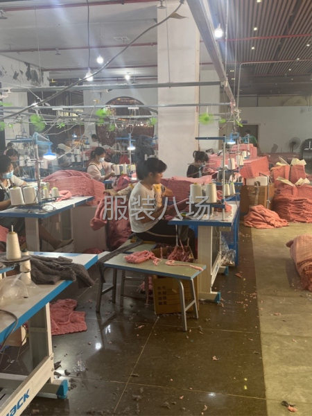 效率快，质量保证-第1张图片