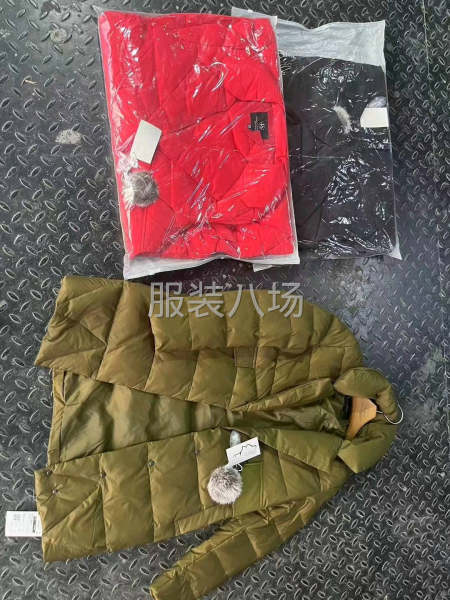 批發羽絨服3000件-第8張圖片