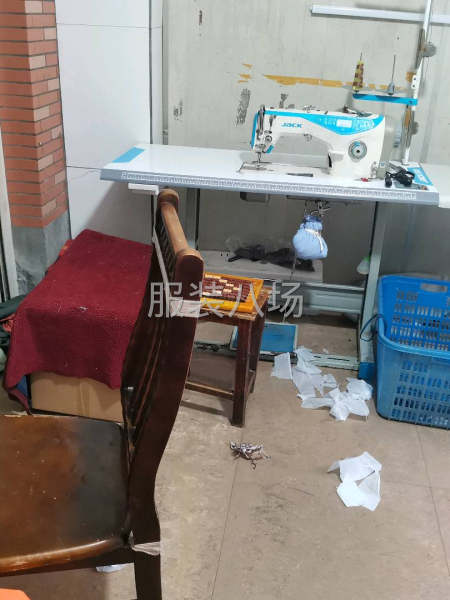 承接公司、网店中高档l小单-第1张图片