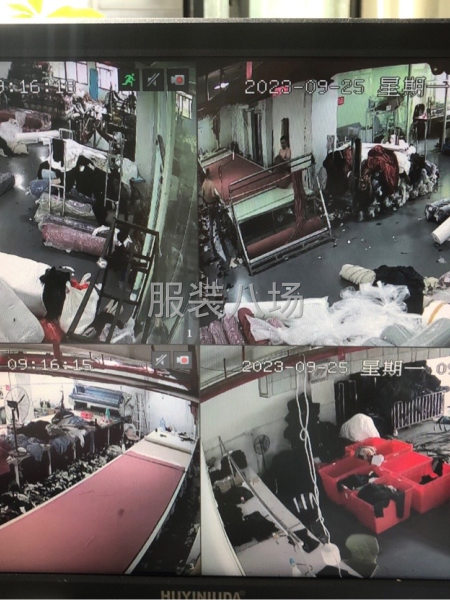 招裁剪一名拉布一名。包吃住-第1张图片