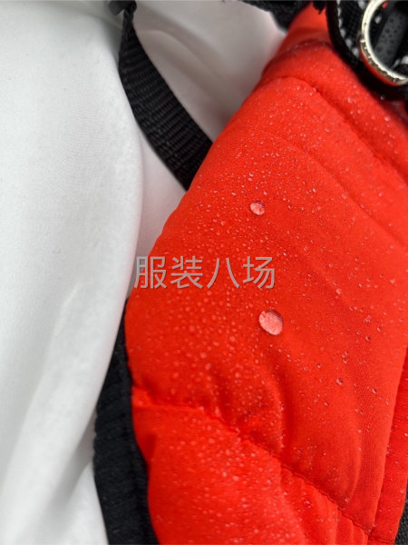 承接宠物服装-第3张图片