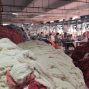 苏州 - 常熟市 - 海虞 - 睡衣工厂自产自销，常年有活