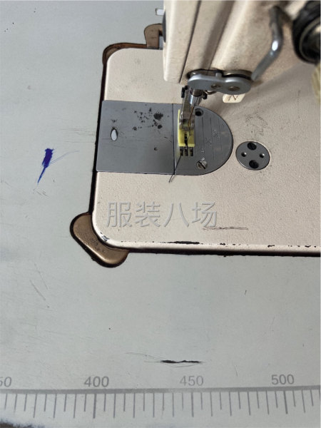 夫妻档跑胆布-第1张图片