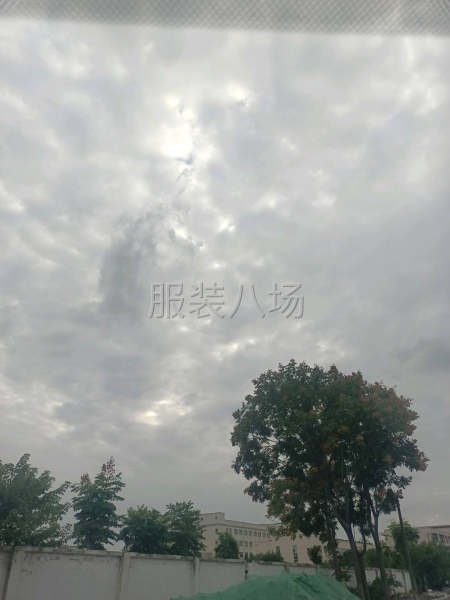 承接四針六線裁片清加工-第1張圖片