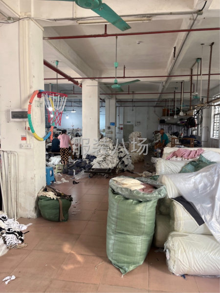 300平加工厂诚寻长期客户，非诚勿扰-第1张图片