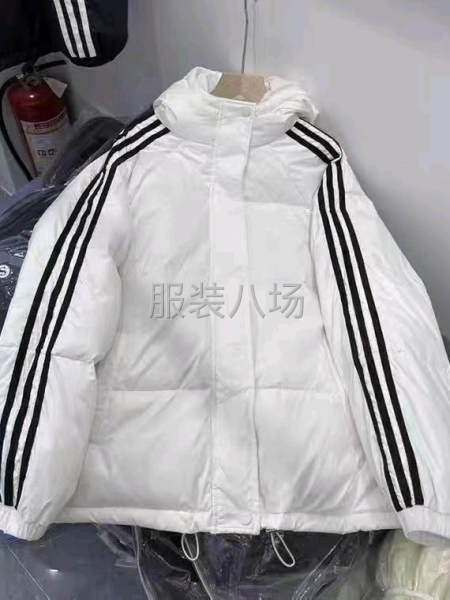 批发羽绒服300件-第2张图片