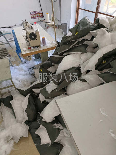 招拍绒工，航线 工资准时-第1张图片