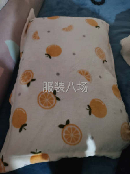 承接牛奶绒拉链枕套-第1张图片