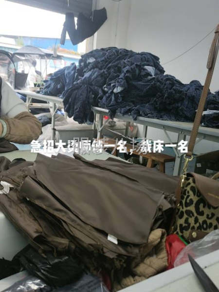本厂承接时装，滑雪服，裙子，外套，裤子，体恤，-第1张图片