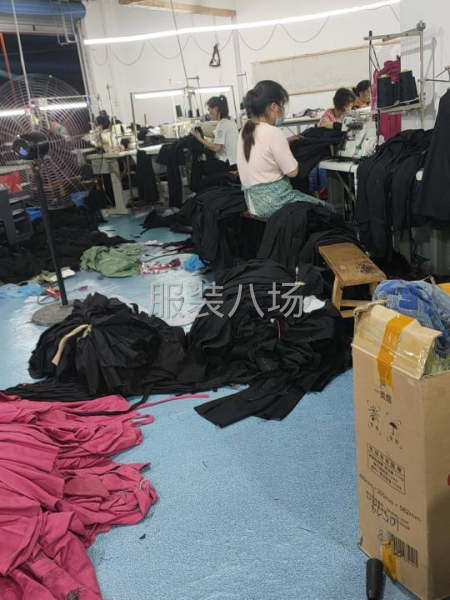 本厂承接时装，滑雪服，裙子，外套，裤子，体恤，-第3张图片
