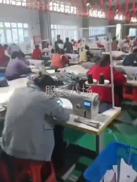 保证质量！价格便宜！-第1张图片