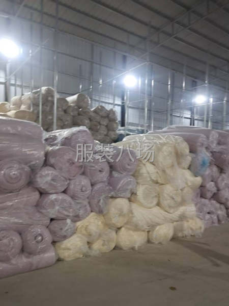 毛絨面料普寧倉庫大量現貨-第2張圖片