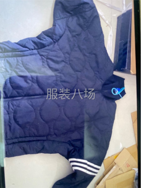 棉服1千件 已裁好-第1张图片