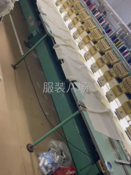 粗線(xiàn)2股3股4股6股，平繡，水溶熱溶牙刷繡-第2張圖片